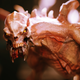 Image for article titled Some Big, Ugly DOOM Guys